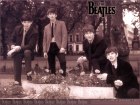 Wallpaper - The Beatles Flower Beds